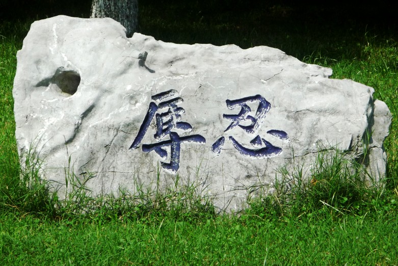 点击图片,在新窗口显示原始尺寸