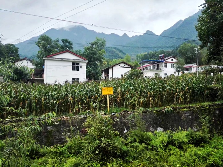 陇南市康县行(一)王坝镇何家庄村
